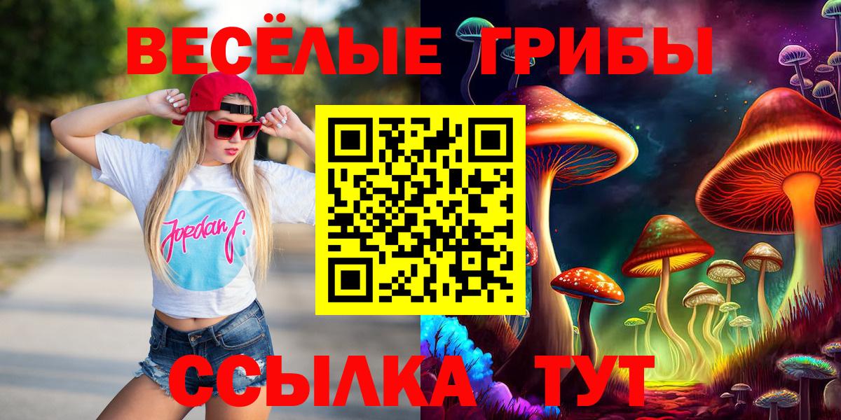 Тайшет  Галлюциногенные грибы Cubensis  Галлюциногенные грибы Cubensis  Вход с VPN 