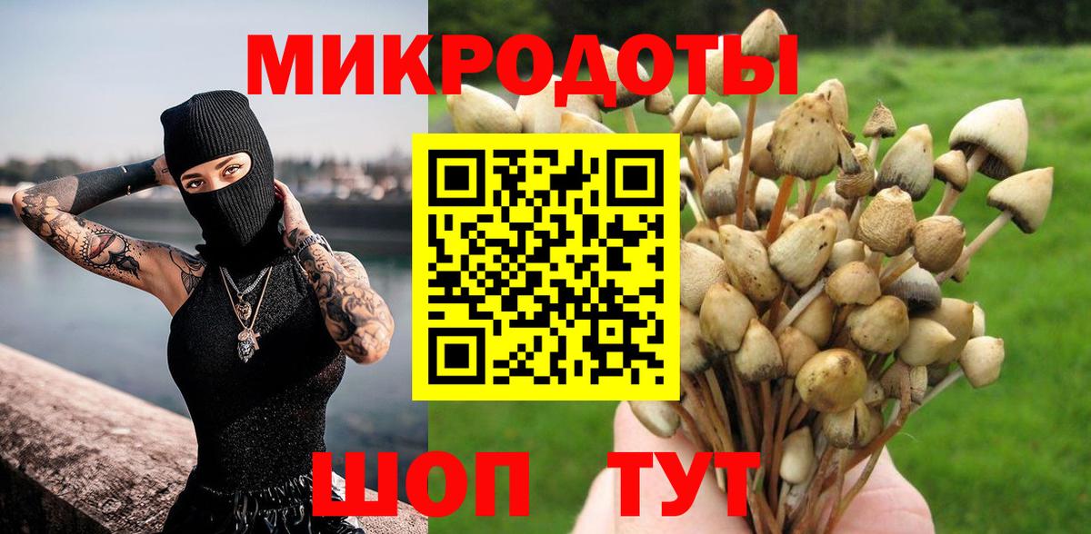 Галлюциногенные грибы GOLDEN TEACHER Тайшет